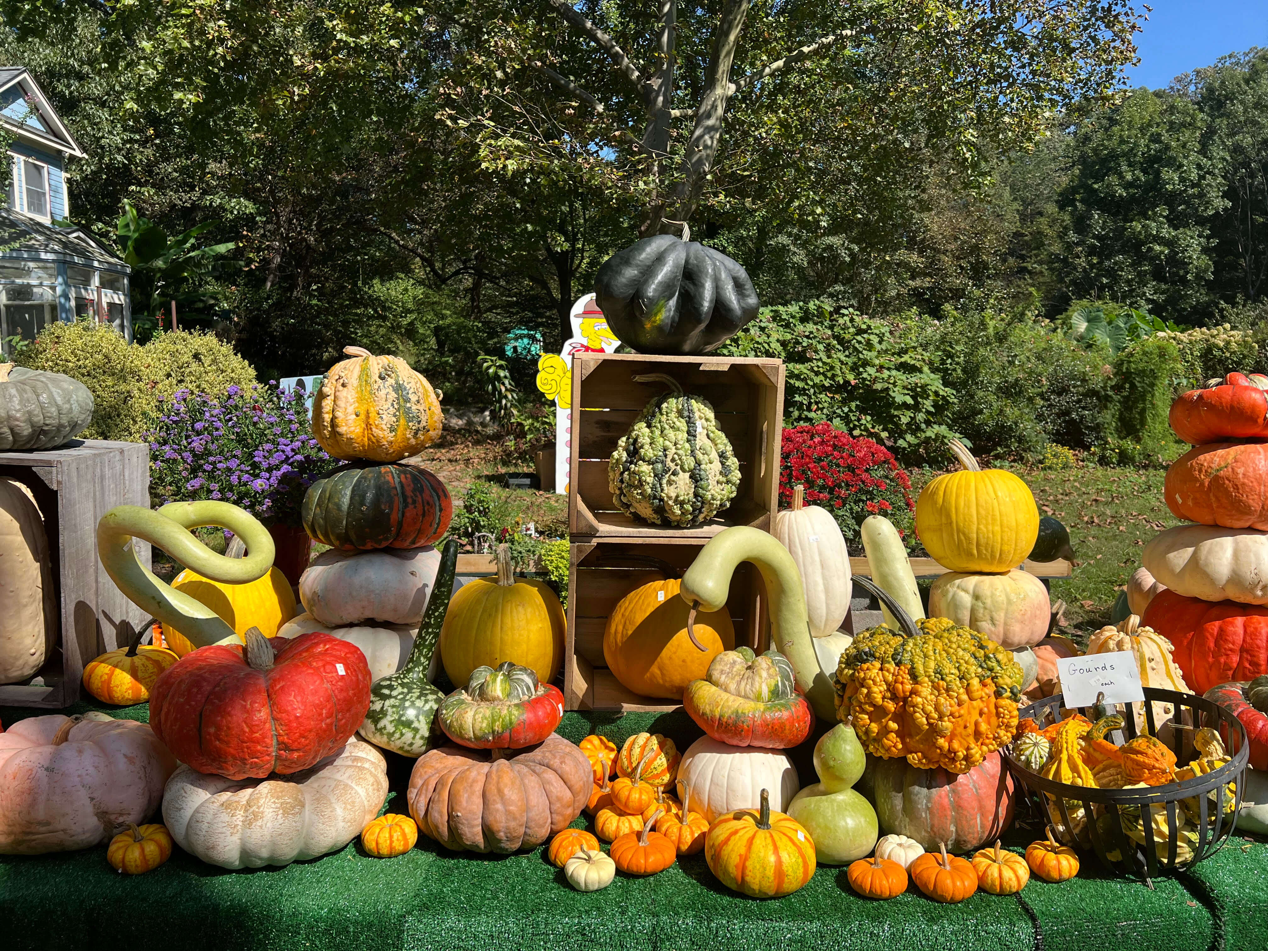 Pumpkin display at Heather Hill Gardens